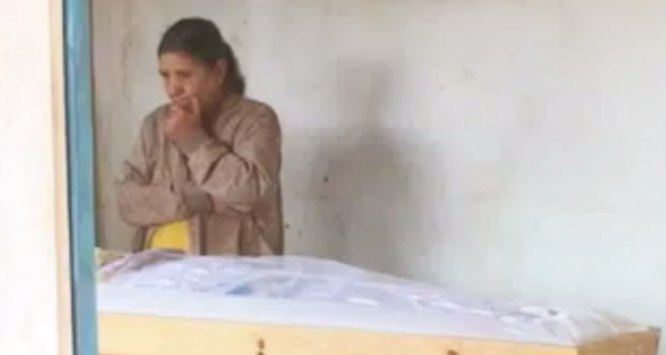 Бразильца раздавила корова, упавшая на него с крыши дома 