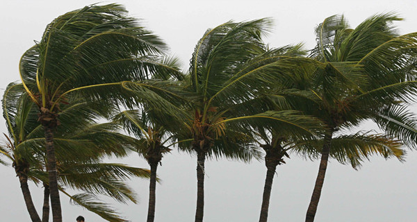 Япония, Китай и Тайвань в ожидании сильного тайфуна