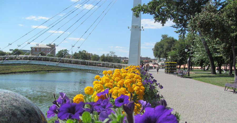 В городе установят цветочный рекорд