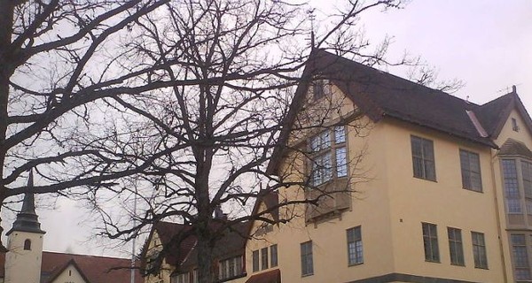 За издевательство над учениками закрыли школу, в которой учился шведский принц