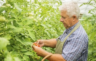 Украинские экопродукты будут завоевывать мир