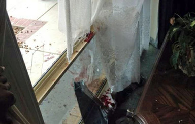 Дом австралийца разгромил гигантский кенгуру