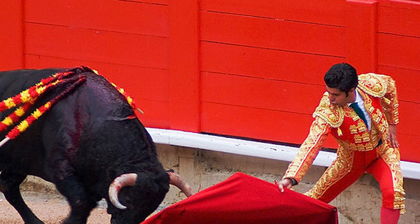 В Испании узаконили корриду