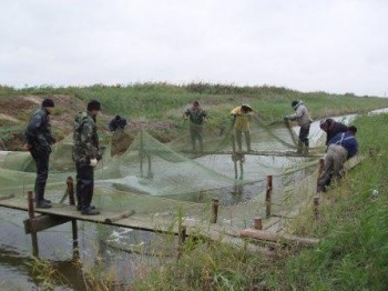 В крымские водохранилища выпустили 