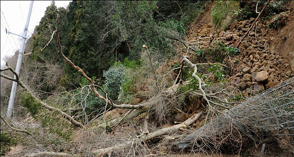 На Филиппинах произошло самое сильное за последние 23 года землетрясение