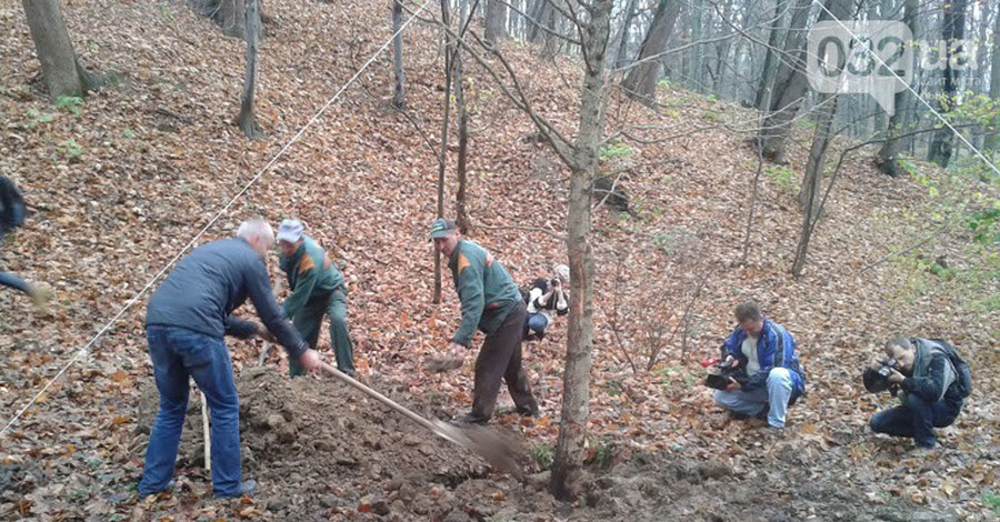 Три орешка для Стрыйского парка