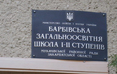 Село на Закарпатье вступилось за учительницу, которая укусила второклассницу