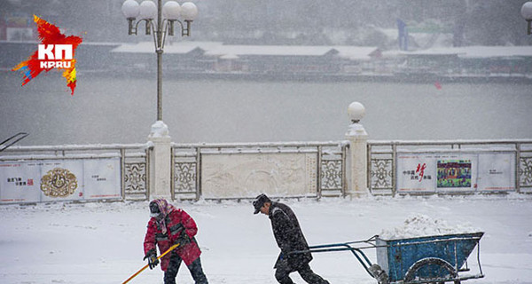 Более 300 тысяч французов остались без света из-за сильных снегопадов