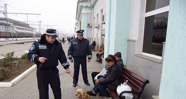 Марихуану в Днепропетровск поставляют с дач и сельских 