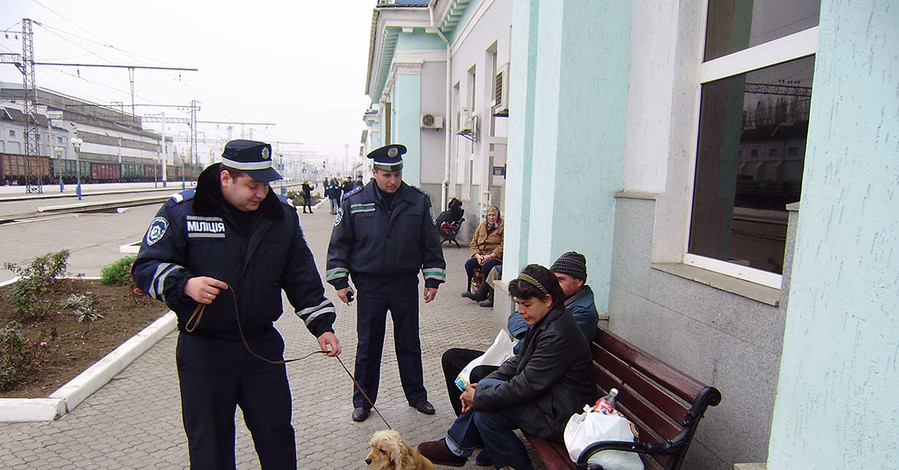 Марихуану в Днепропетровск поставляют с дач и сельских 