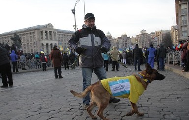 На Майдане появились псы-революционеры