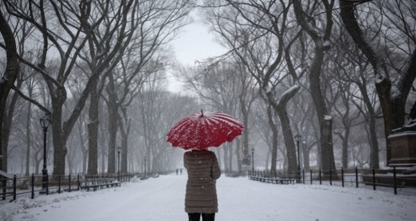 Снегопад в США не дает улететь тысячам самолетов