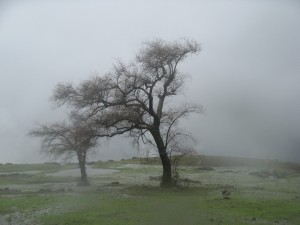 На Западную Европу обрушился циклон
