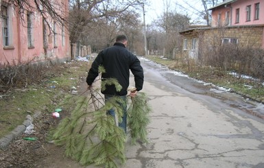 В Крыму нераспроданные новогодние елки просят сдавать в зоопарк