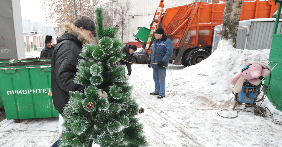 Новогодние елки станут топливом для котельных Донецка