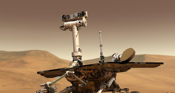 Марсоход Opportunity сфотографировал плодовое тело инопланетянина?!