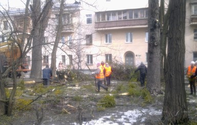 В Киеве объявили войну растению-паразиту