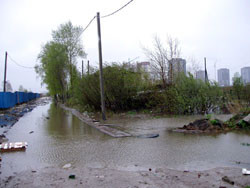 БК «ДНЕПР»: ЗОЛОТЫЕ КРАСАВИЦЫ ДНЕПРОПЕТРОВСКА 