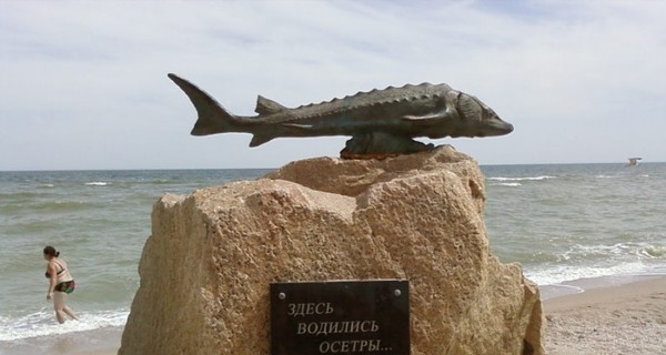 В Бердянске украли памятник осетру