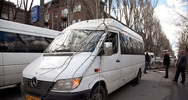 В центре Запорожье упавшая ветка разбила лобовое стекло маршрутки