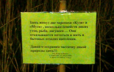 Днепропетровцы вступились за черепашек и уток