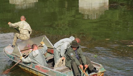 В зоне Чернобыльской АЭС спасли лося