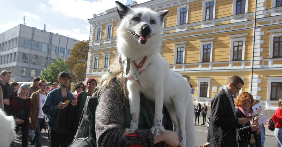 Марш за права животных.