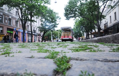 Из-за дождей одесская Дерибасовская заросла травой