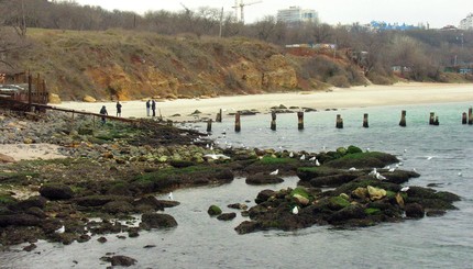 В Одессе море ушло от берегов