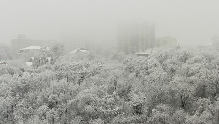 Киев засыпало снегом