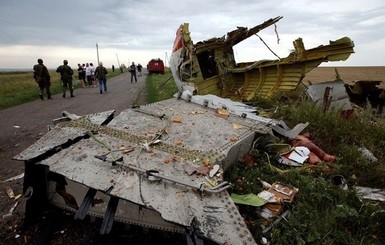 Расследование крушения Боинга возглавил Нидерландский совет безопасности