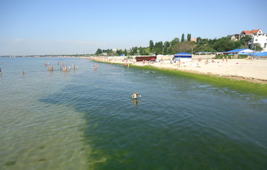 В прогретом до 26 градусов море у Одессы развелись водоросли