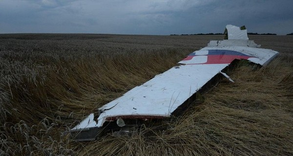 Собрано досье на всех погибших малазийского Боинга