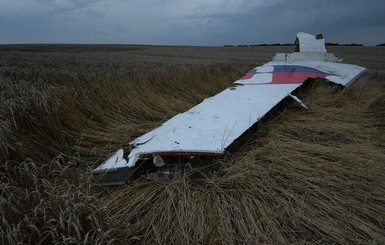 Собрано досье на всех погибших малазийского Боинга