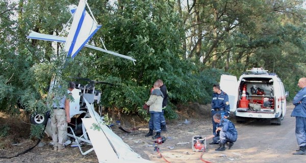 На Днепропетровщине самолет рухнул на дерево