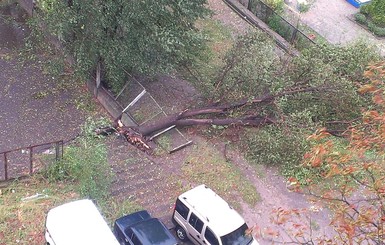 В Запорожской области из-за урагана дети не пошли в школу