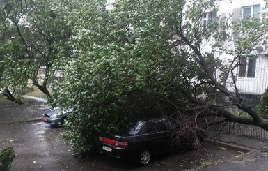 Днепропетровск накрыла стихия