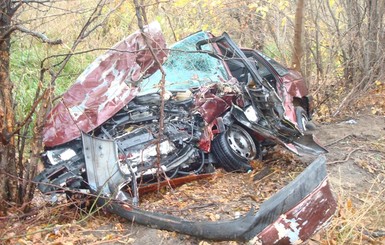 В Черкасской области служебная собака поймала угонщиков