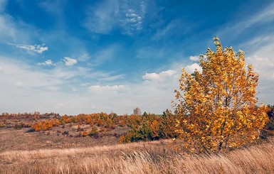 22 октября в Украине сохранится теплая погода