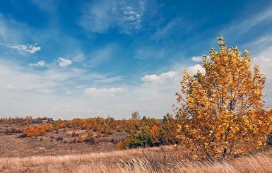 26 октября, в день выборов, будет тепло и без осадков