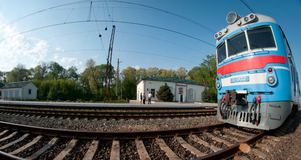 На Закарпатье железнодорожник спас корову