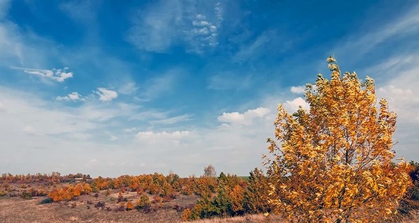 В субботу, 8 ноября, днем до 19 тепла