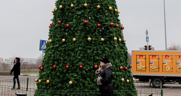 В Запорожье уже появились елки