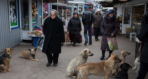 Без денег и прав: жизнь в 