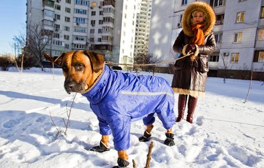 Сегодня, 1 декабря, местами пройдет небольшой снег