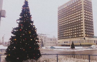 Луганск лишили главной елки области