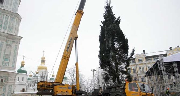 В Киеве главной елке страны 