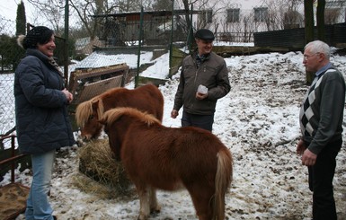 Во Львове выживших экзотических животных из заброшенной фермы поселили в зооуголке