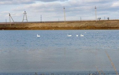 На Львовщине двухлетний мальчик погиб после падения в озеро