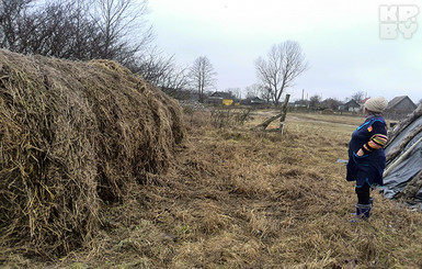 В Беларуси видели НЛО?